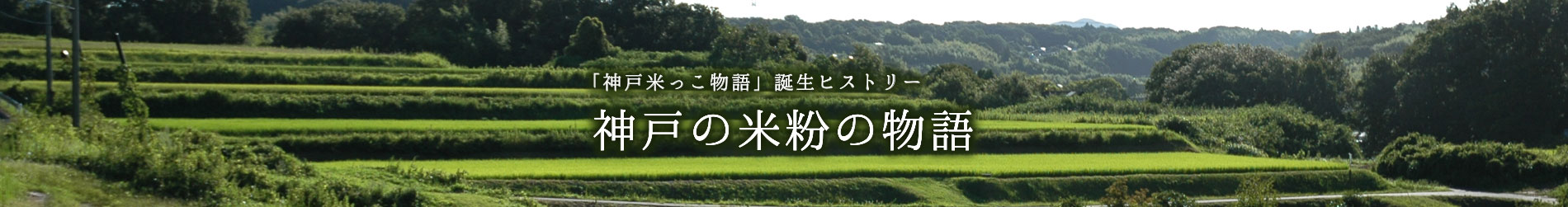 神戸米っこ物語 誕生ヒストリー「神戸の米粉の物語」